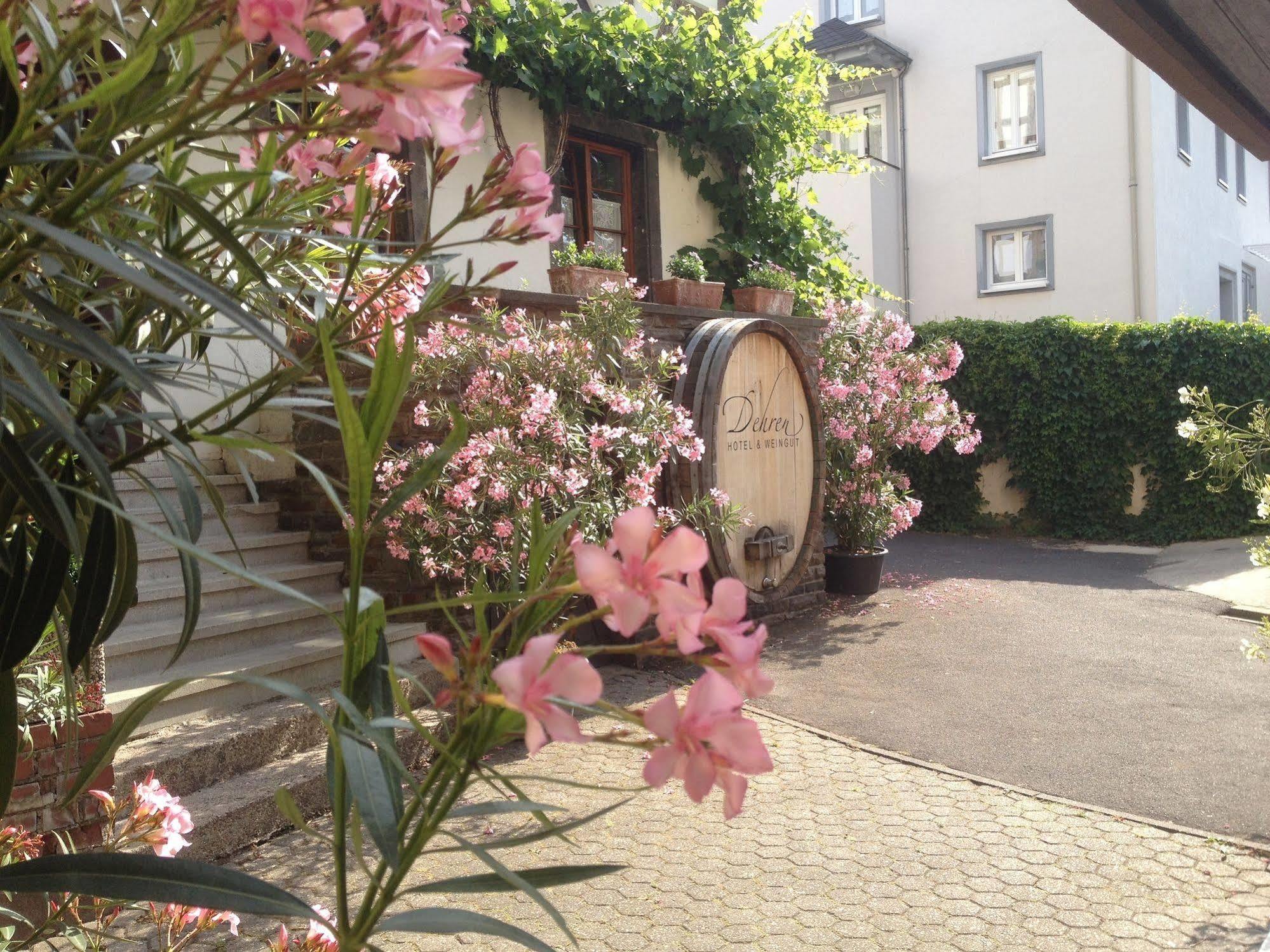 Hotel Weingut Dehren Ellenz-Poltersdorf Exterior foto
